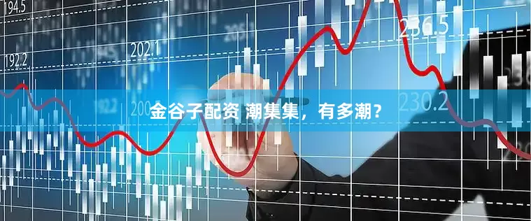 金谷子配资 潮集集，有多潮？